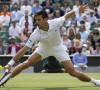 Novak, titula, Vimbldon.jpg