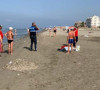 Drač 
