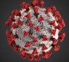 koronavirus