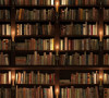 Biblioteka