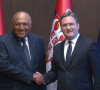 Nikola Selaković i Sameh Hasan Šukri