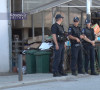 Kosovska policija