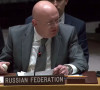 Ambasador Nebenzja