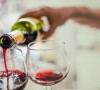 Vino