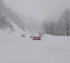 Brezovica