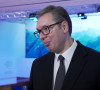 Aleksandar Vučić Davos