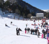 Brezovica1