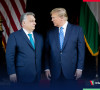 Donald Tramp i Viktor Orban