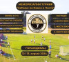 Memorijalni turnir Goraždevac