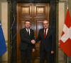 Kurti i Parmelin