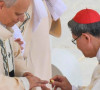 Papa Lav XIV