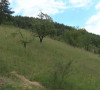Šar planina