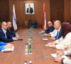 MITROVICA