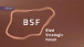 Bledski strateški forum
