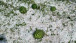 Posledice nevremena 21 07 2026