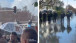 Policija u Hagu